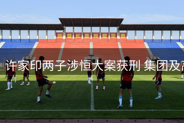 许家印两子涉恒大案获刑 集团及高管多人同遭法律制裁